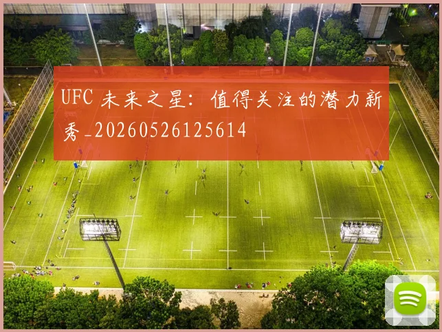 UFC 未来之星：值得关注的潜力新秀_20260526125614