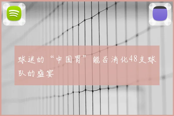 球迷的“中国胃”能否消化48支球队的盛宴