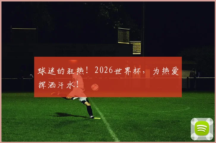 球迷的狂热！2026世界杯，为热爱挥洒汗水！